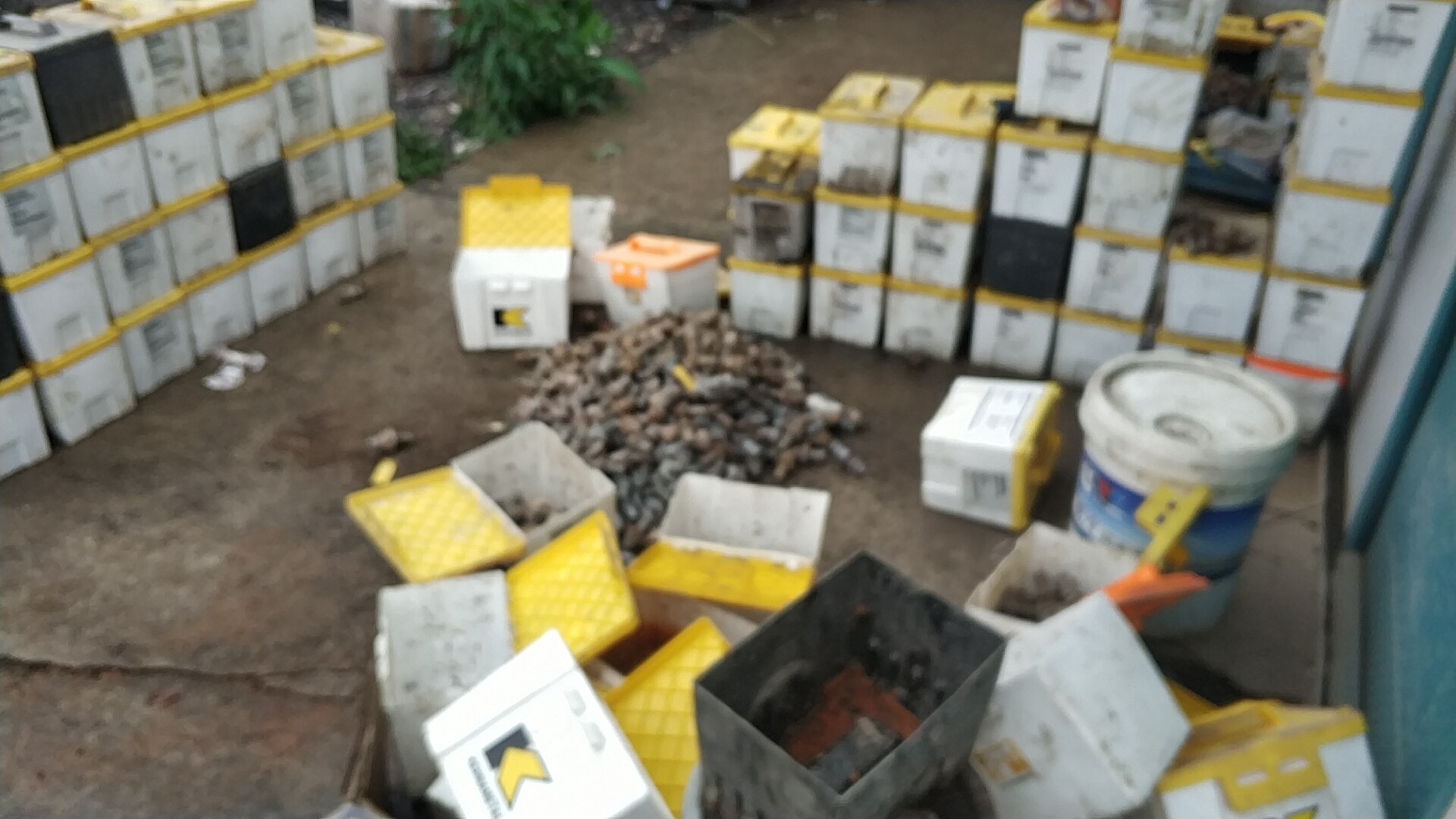 好：回收效率高，价格好